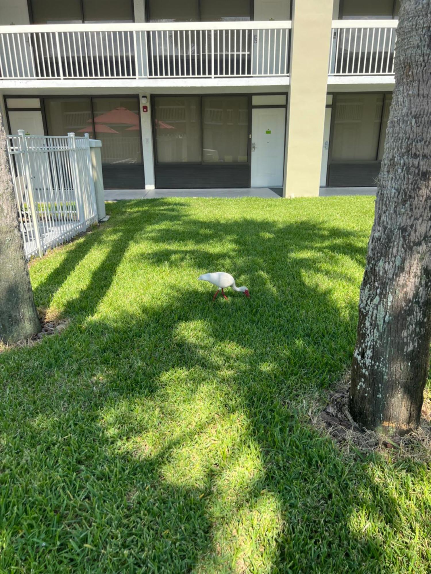 Hotel Room Near Disney 4 People Kissimmee Bagian luar foto